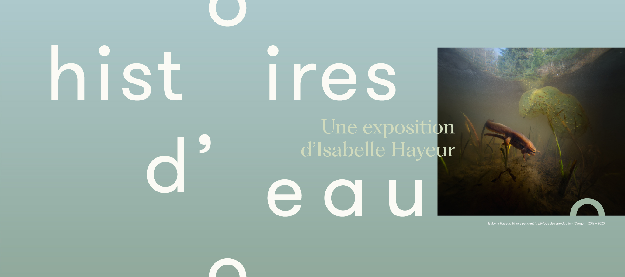 Histoires d'eau, une exposition d'Isabelle Hayeur au Musée du Bas-Saint-Laurent