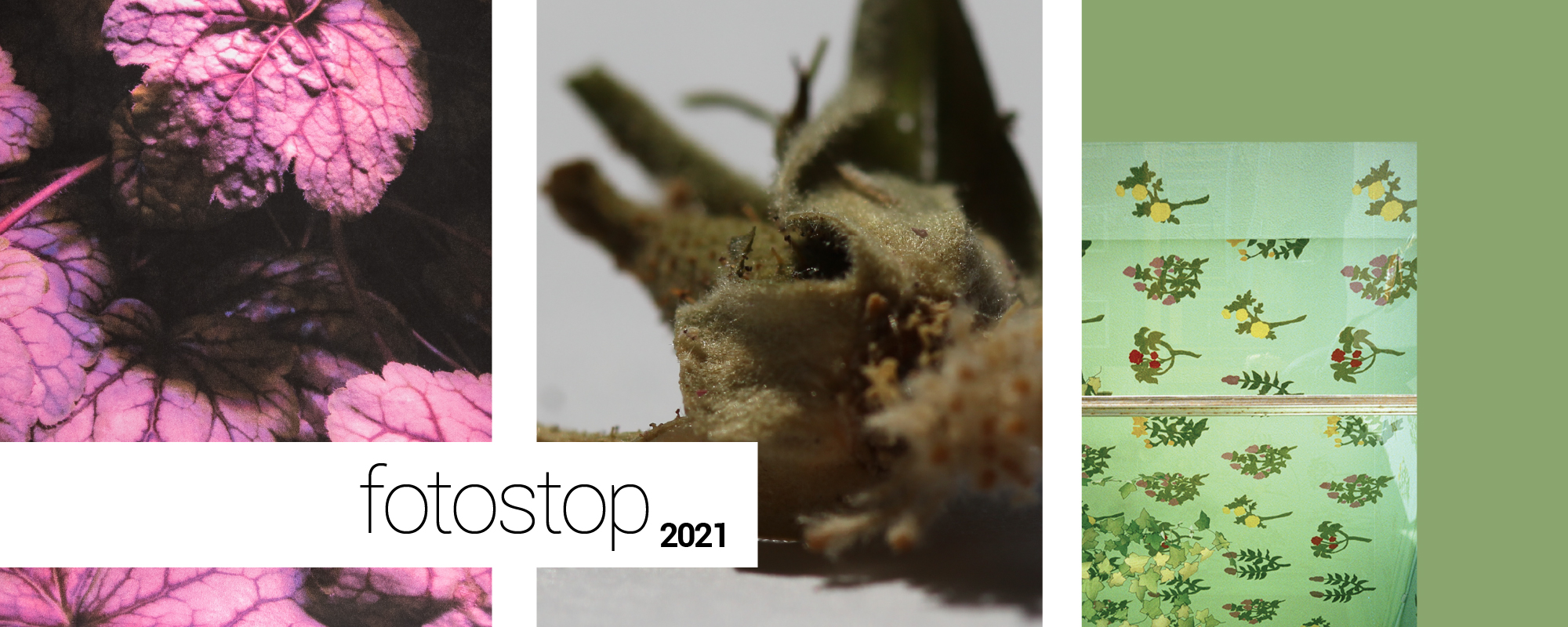 Fotostop 2021