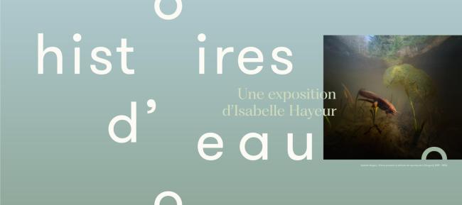Histoires d'eau, une exposition d'Isabelle Hayeur au Musée du Bas-Saint-Laurent.