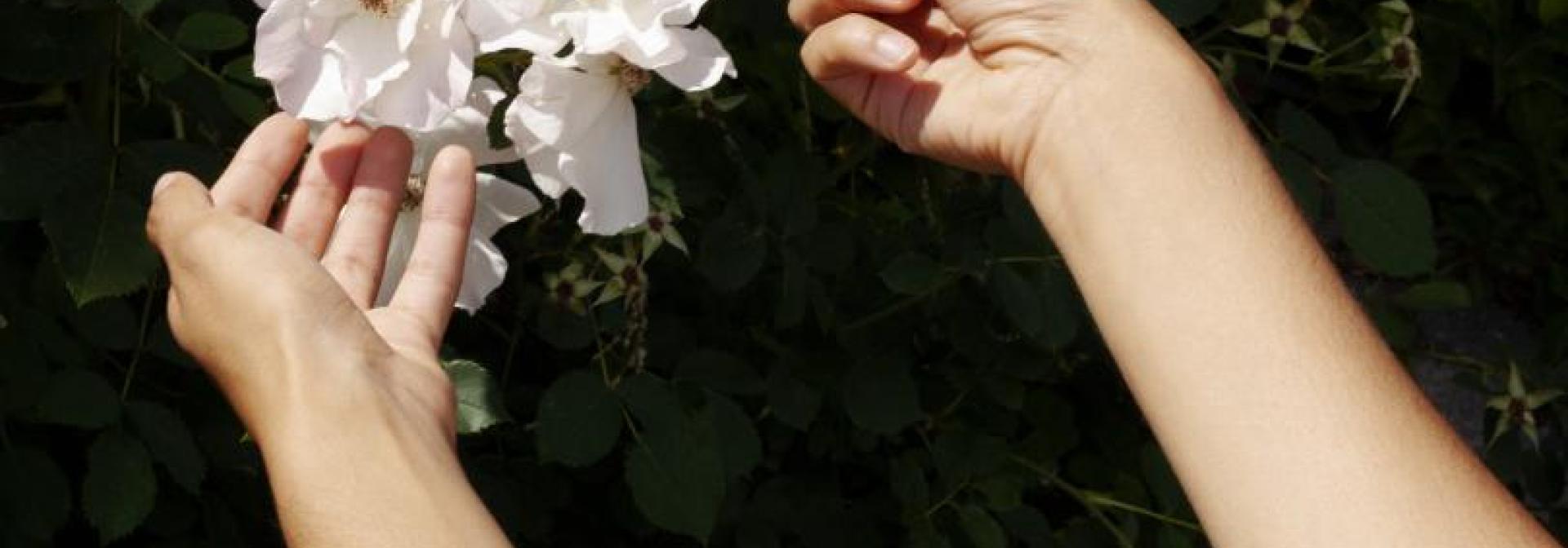 Eve Tagny, Framgents de roses