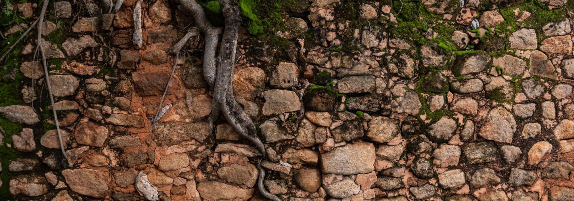 Capture ton patrimoine - regards croisés entre le Québec et Madagascar